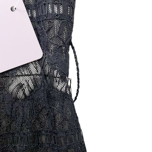 NWT JS Collections Black Nude Lace Illusion Midi Dress Sheer Stripe Size 6 NEW - Picture 9 of 13